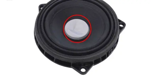 Rear door speaker