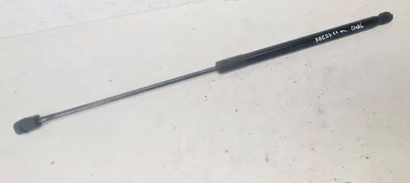 Tailgate/trunk strut/damper