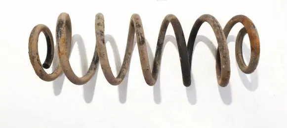 Volkswagen PASSAT B6 Rear coil spring