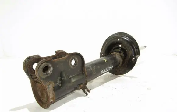 Hyundai Santa Fe Front shock absorber/damper