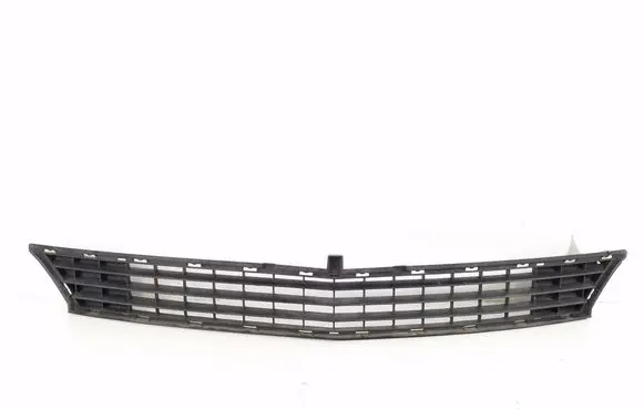Mercedes-Benz B W245 Front bumper lower grill A1698850123