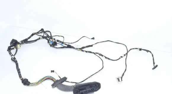 BMW X3 F25 Front door wiring loom 9379824 9379827 61129379827