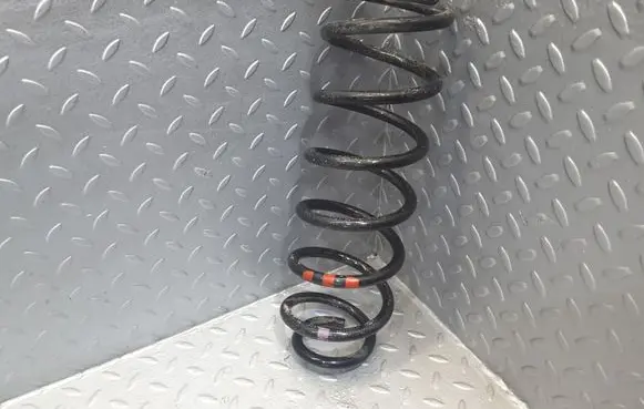 Citroen DS4 Rear coil spring 5102Z4