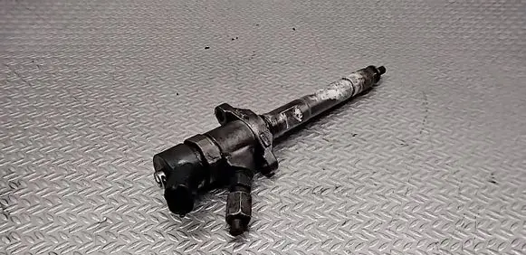 Citroen C4 I Fuel injector 0445110188