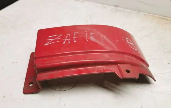 Rear/tail light trim molding