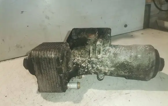 Oil filter mounting bracket