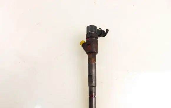 KIA Sorento Fuel injector 0445110278 338004A600