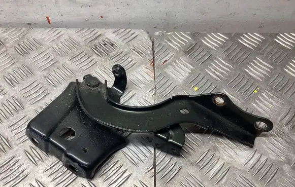 Lexus NX Engine bonnet/hood hinges 