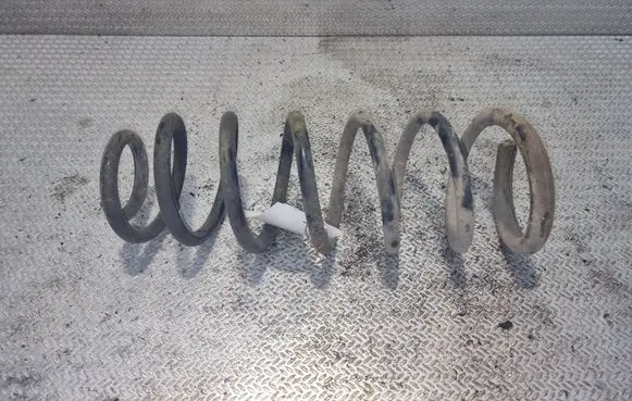 Citroen Jumpy Rear coil spring 5102R0