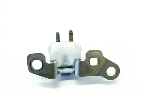 Rear door lower hinge