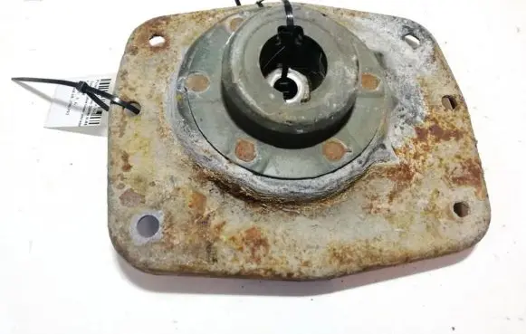 Coil spring mount