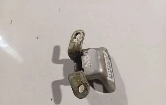 Chevrolet Aveo Rear door lower hinge