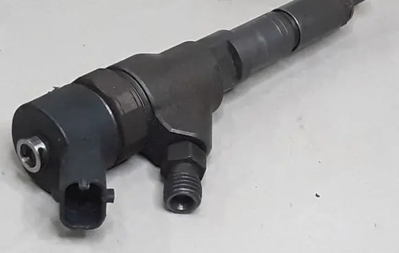 Citroen Xsara Picasso Fuel injector 9640895380 0445110044