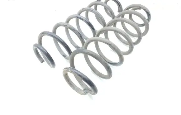 Rear coil spring