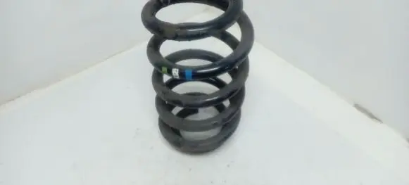 Front coil spring