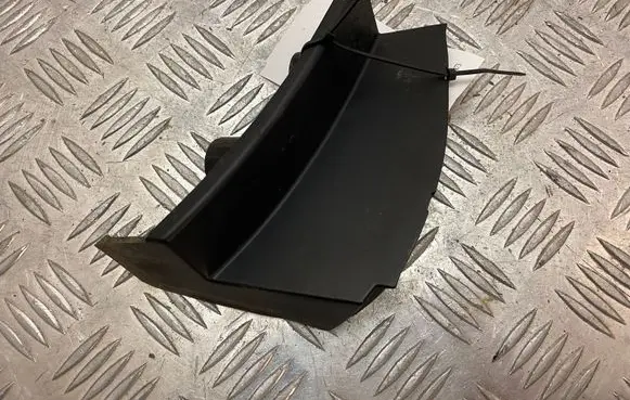 Rear/tail light trim molding