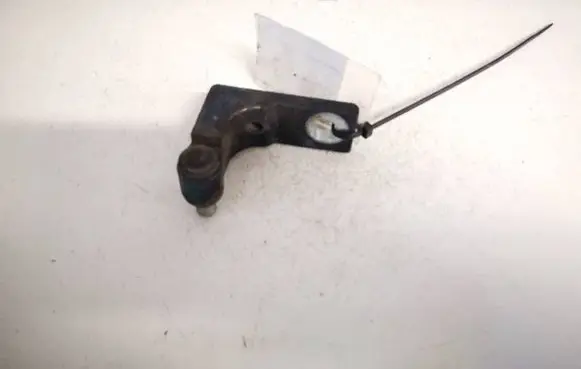 Fiat Punto (188) Rear door lower hinge