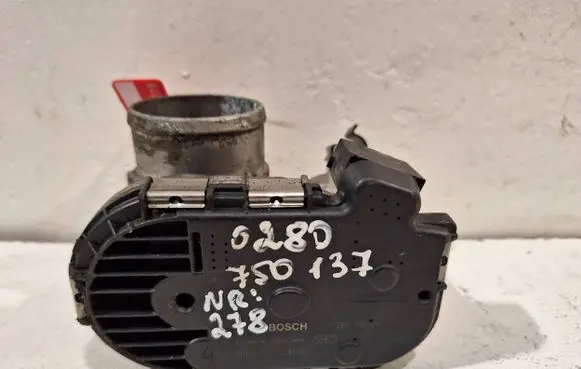 Throttle body valve