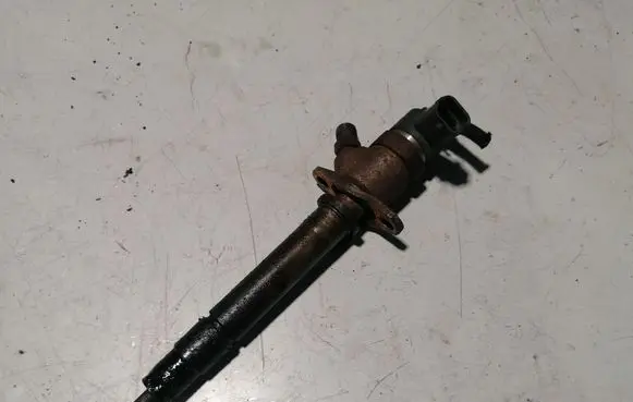 Volvo S80 Fuel injector 0445110078 8658952
