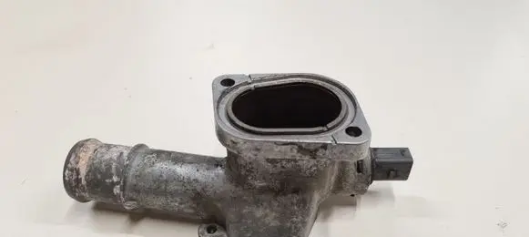 Thermostat/thermostat housing