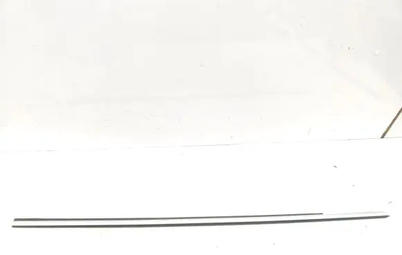 Audi A8 S8 D2 4D Rubber seal front door (on door) 