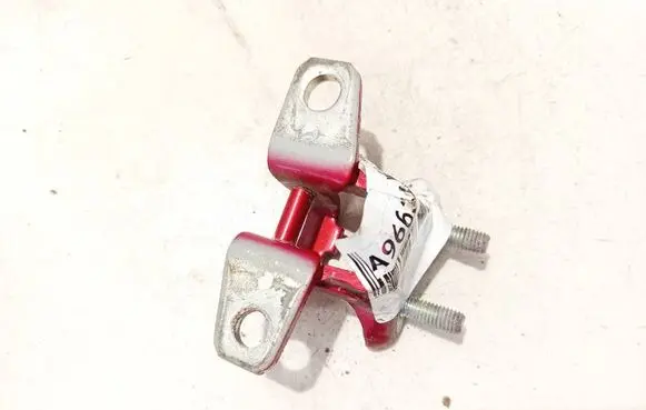 Rear door lower hinge