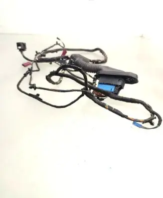 Mini Cooper Countryman R60 Rear door wiring loom 9811219