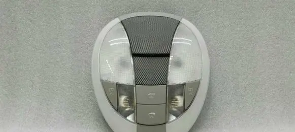 Mercedes-Benz CLS C219 Rear seat light A2198201401