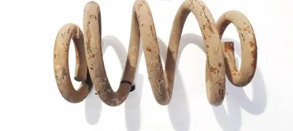 Front coil spring