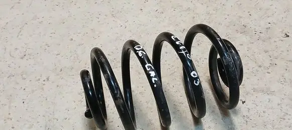 Rear coil spring