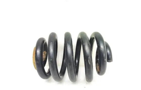 Rear coil spring