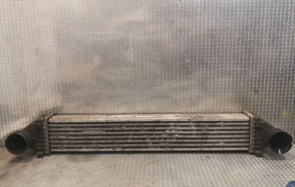 Mercedes-Benz A W169 Intercooler radiator 1695000000