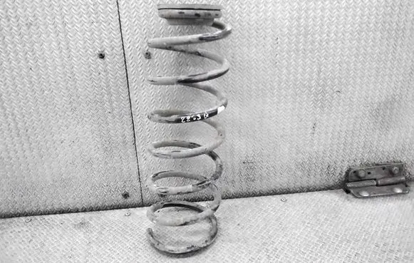 Chevrolet Kalos Rear coil spring