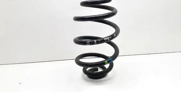 Volkswagen PASSAT B5 Rear coil spring