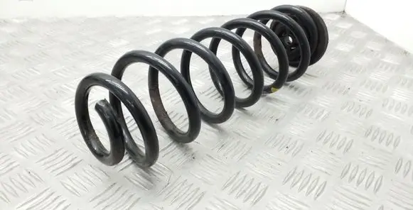 Volkswagen PASSAT B7 Rear coil spring
