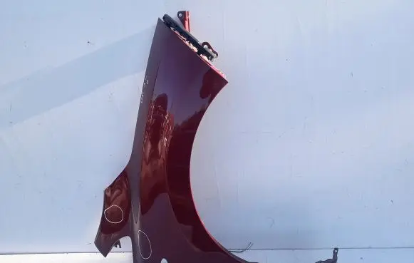 Nissan Leaf I (ZE0) Fender