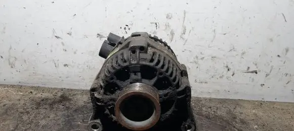 Peugeot 206 Generator/alternator 2541969A