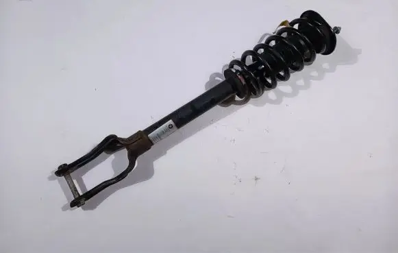 Dodge Durango Front shock absorber/damper 68029501