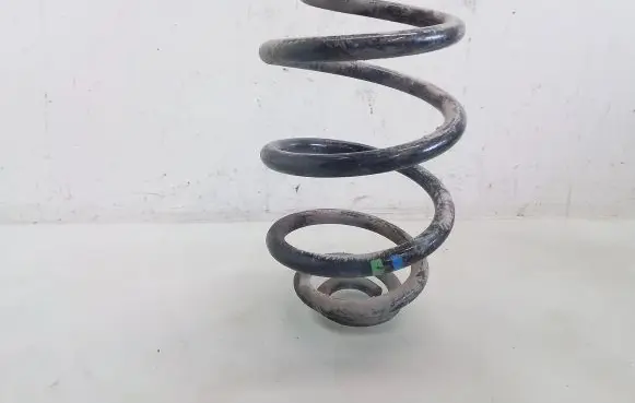 Volkswagen PASSAT B5.5 Rear coil spring