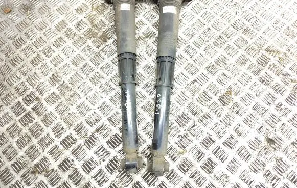 Volkswagen ID.3 Rear shock absorber/damper 1EA513423F