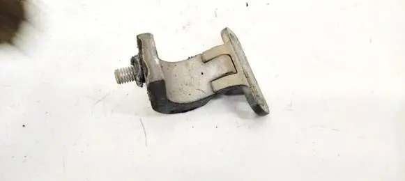 Tailgate/trunk/boot hinge