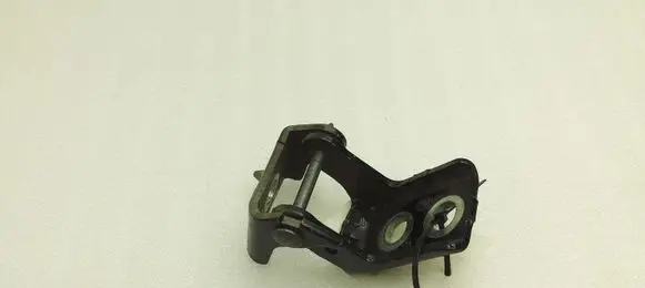 Citroen C4 Cactus Rear door lower hinge