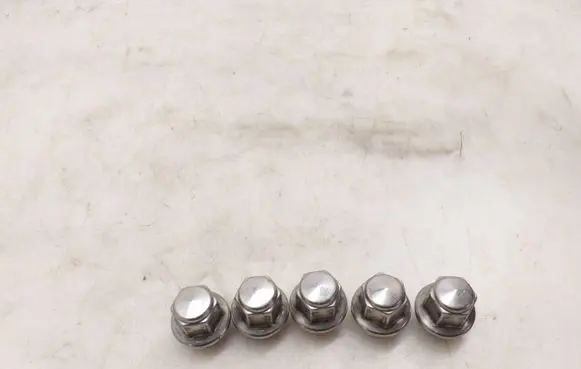 Ford Mustang Mach-E Nuts/bolts