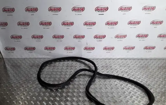 Trunk rubber seal (body)