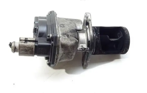 EGR valve