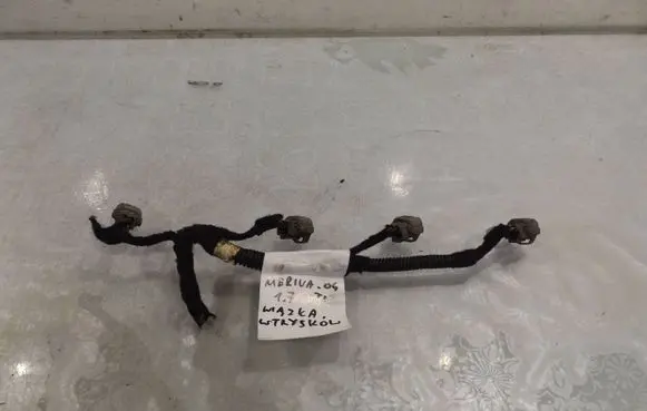 Opel Meriva A Fuel injector wires 