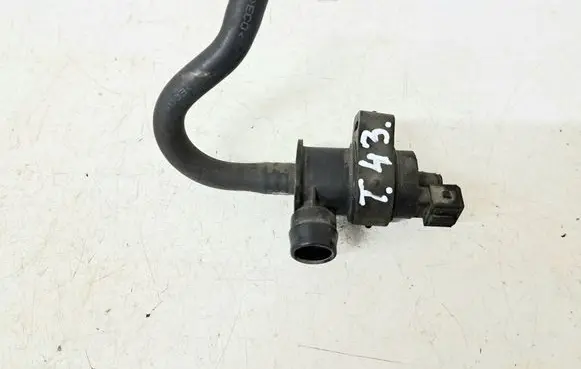 Vacuum valve