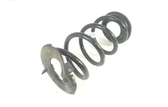 Rear coil spring