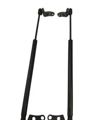 Tesla Model S Front bonnet/hood damper/strut 106263400A