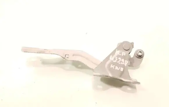 Chevrolet Aveo Engine bonnet/hood hinges 95462341